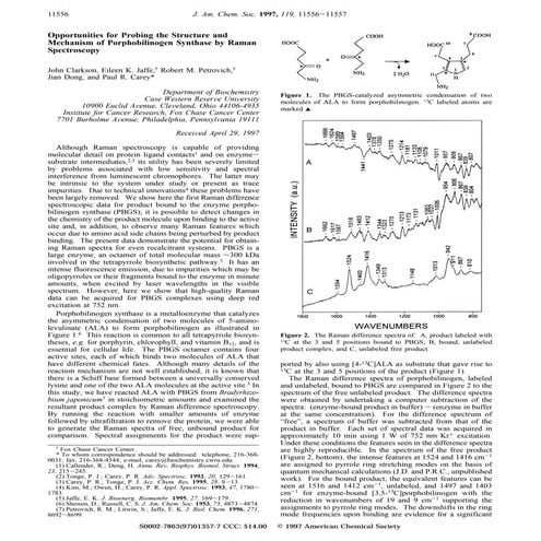 Opportunities for probing the structure and mechanism of porphobilinogen synt...