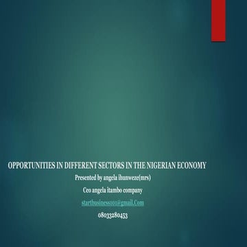 Opportunities in different sectors in the nigerian economy