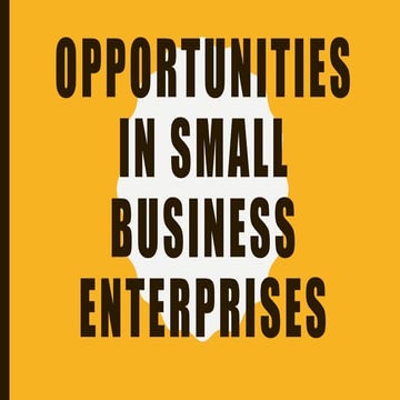 Opportunities in small business enterprises