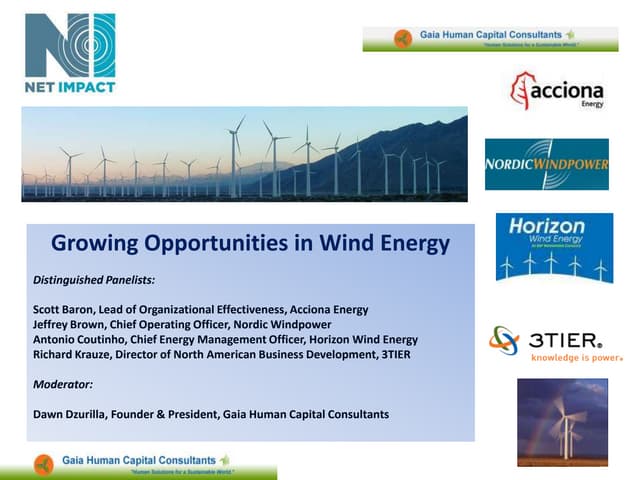 Growth Opportunities In Wind Energy Panel