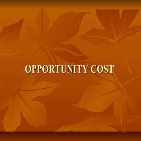 Opportunity cost