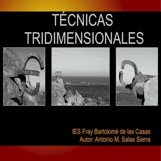 TÉCNICAS TRIDIMENSIONALES; EDUCACIÓ...