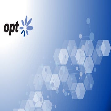 opt.pdf