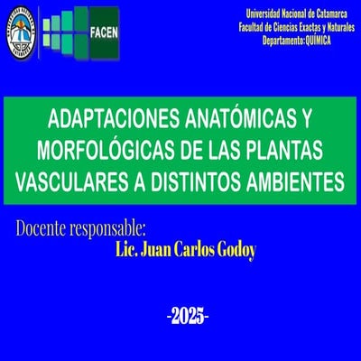 Optativa 2025_Teórico sjejskodkddkkdkelwlwk | PDF