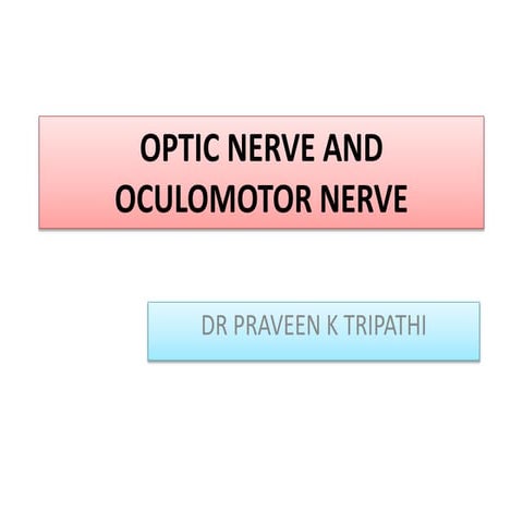 Optic AND OCULOMOTOR  NERVE