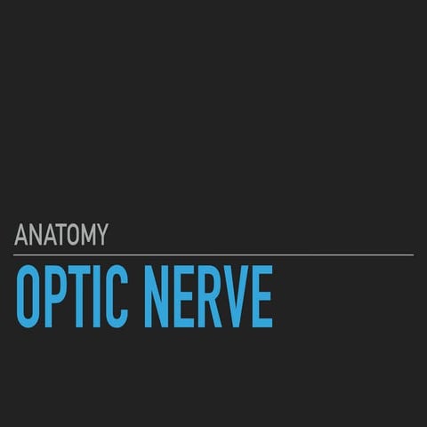 Optic nerve