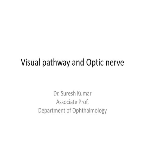 Optic nerve.pdf cranial nerve medical seminar