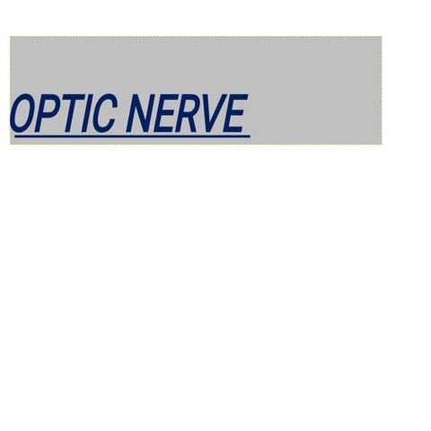 optic nervepdf