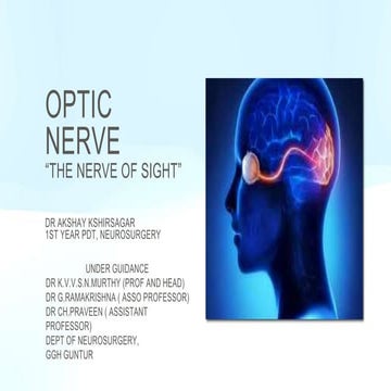 Optic nerve The nerve of sight ppt for Mch