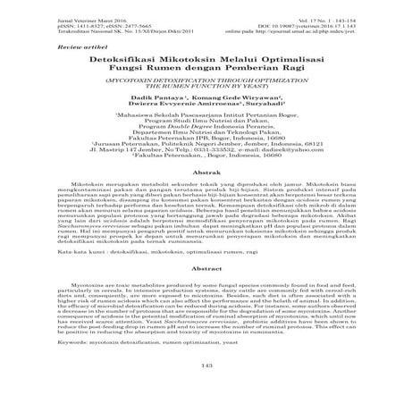 Optimalisasi fugsi rumen dengan pemberian ragi