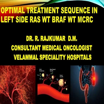 Optimal treatment sequence   left side ras wt - case based (1)