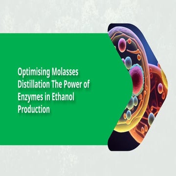 Maximize Efficiency in Ethanol Production Using Enzymes | PPTX