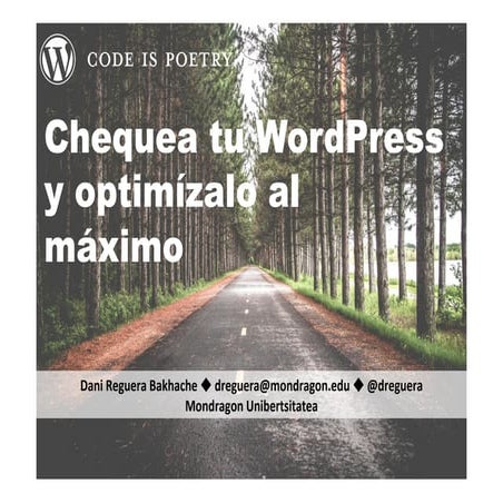 Optimización de sitios web hechos con WordPress