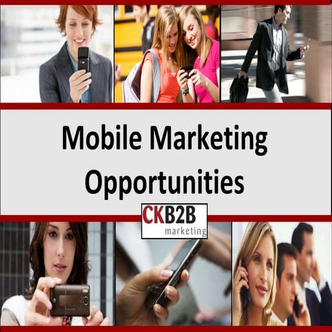 Mobile Marketing Opportunities