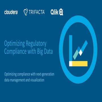Optimizing Regulatory Compliance with Big Data