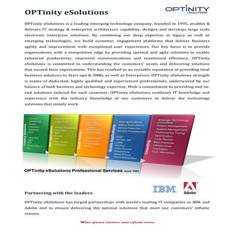 Optinity eSolutions Professional services