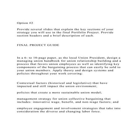 Option #2Provide several slides that explain the key section.docx