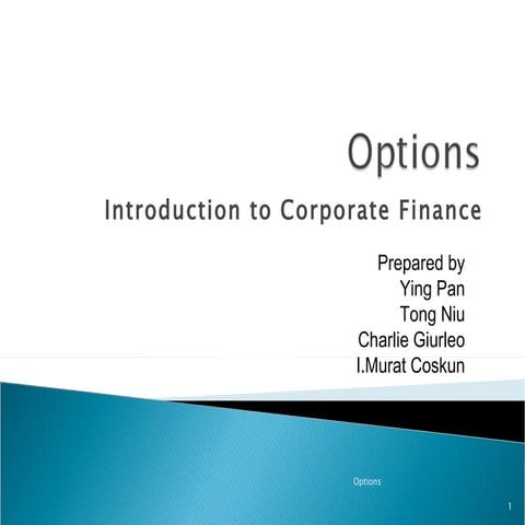 Options Presentation Introduction to Corporate Finance