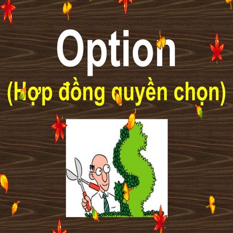 Option thuyet trinh