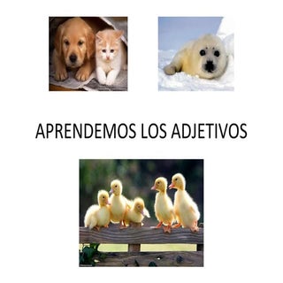 Opuestos animales