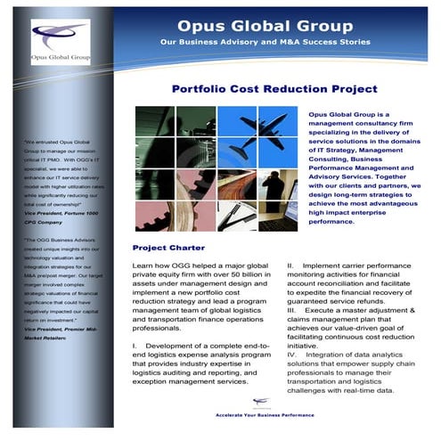 Opus Global Group -Portfolio Cost Reduction Project