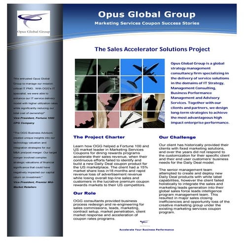 Opus Global Group -Sales Accelerator Solutions Project 2010 Success Story