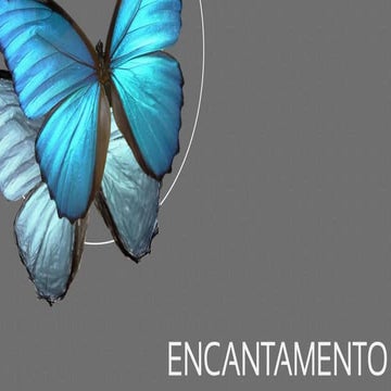 Encantamento - o que aprendi com o livro