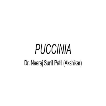 Puccinia