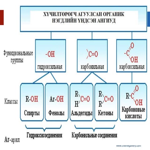 Or.alidegid 10 | PPT