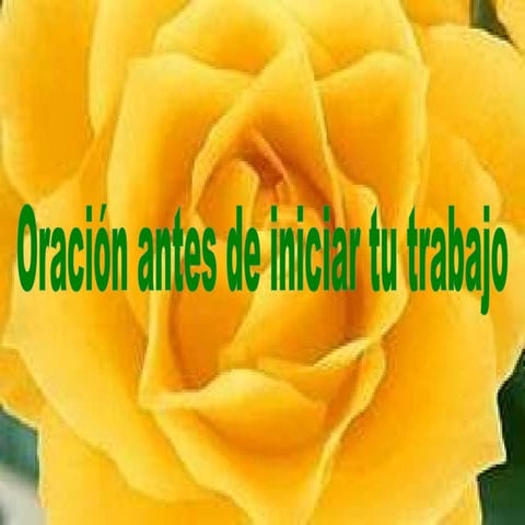 Oración para antes de iniciar el trabajo