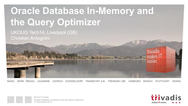 Oracle Database In-Memory and the Query Optimizer