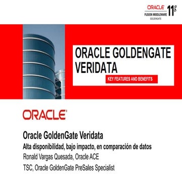 Oracle golden gate veridata