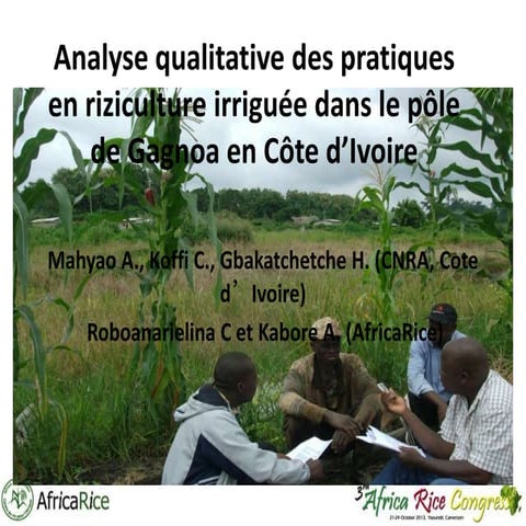 Th5_Analyse qualitative des pratiques en riziculture irriguée dans le pôle de...