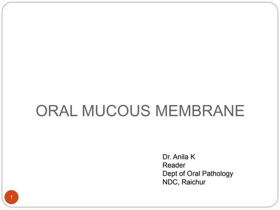 View of Handout of Oral Mucosa Histology | PDF | Dental Health | Diseases and ...