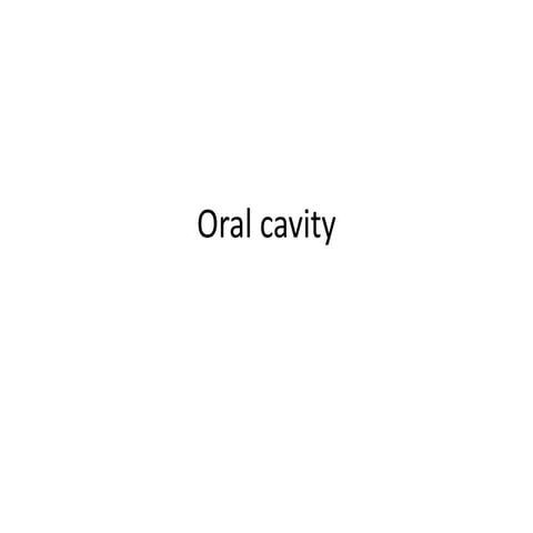 Congenital anomalies/Pathology of oral cavity in animals