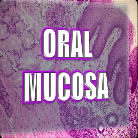 Oral Mucosa