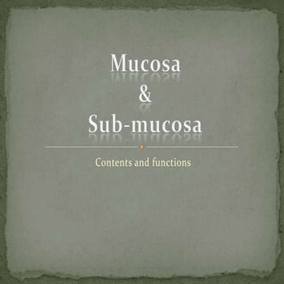 Oral mucosa and submucosa final 