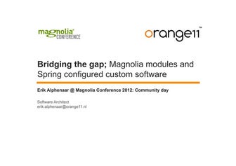 Bridging the Gap: Magnolia Modules and Spring Configured Software