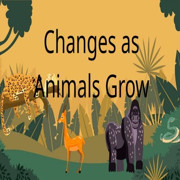 Orange Bold Science Classifying Animals Presentation.pptx