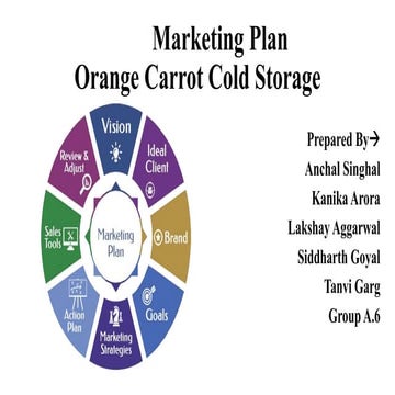 Orange carrot cold storage(final