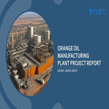 API Manufacturing Plant Project Report .pdf