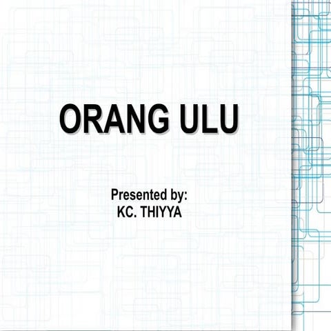 Orang ulu ppt.