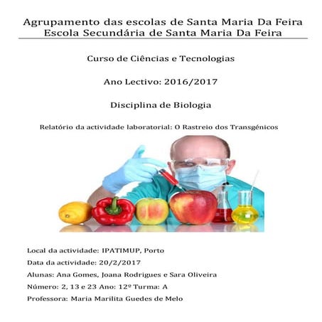 O rastreio dos transgénicos