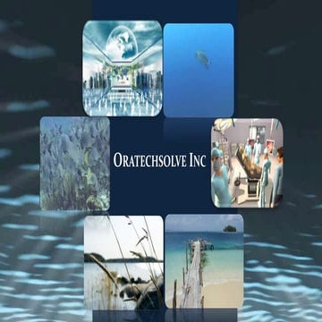 Oratechsolve Inc