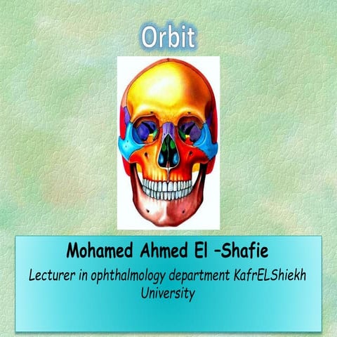 Orbit (anatomy and diseases) for medical students