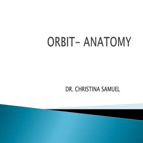 ORBIT Anatomy