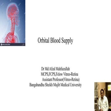 Orbital blood supply