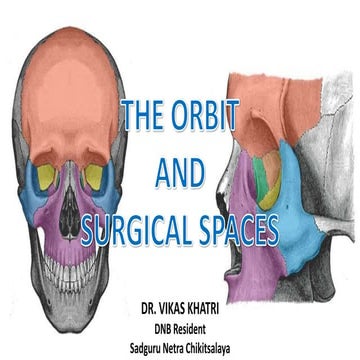 Orbit Anatomy and Surgical Spaces 
