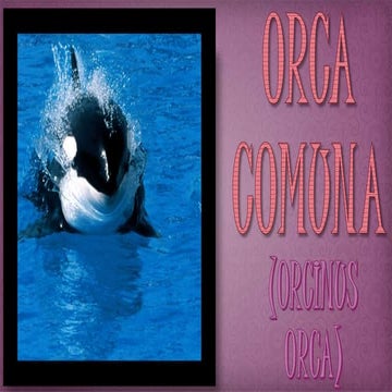 Orca Comuna
