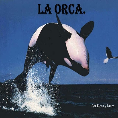 La orca | PPT